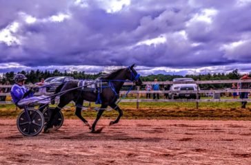 Horse running at the Washington County fair horse races 2022
