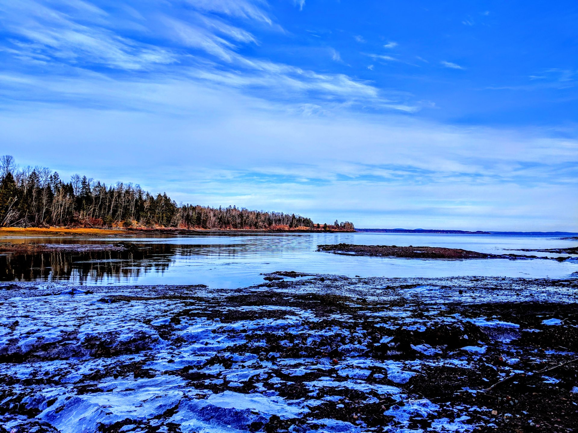 ice on Lewis's cove in Perry, Maine, Dec 2019.