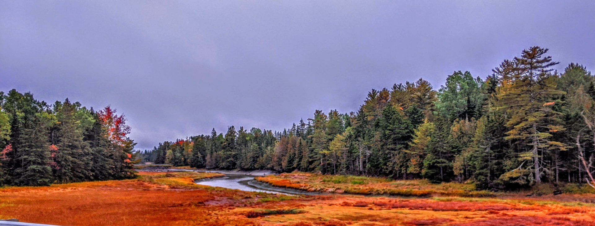 sep, 29 2020 stream with trees and yellow grass in Perry, Maine.